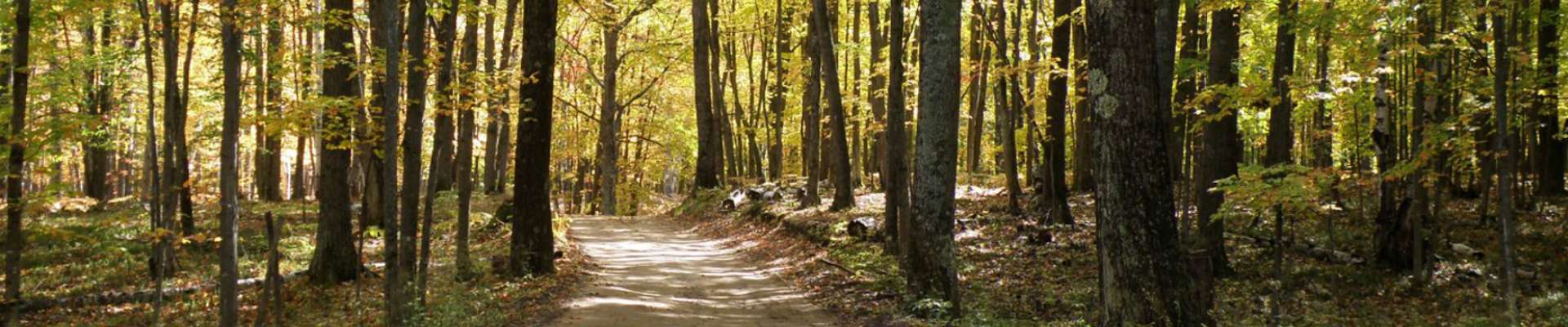 Canada Creek Ranch - Canada Creek Ranch - Atlanta, MI